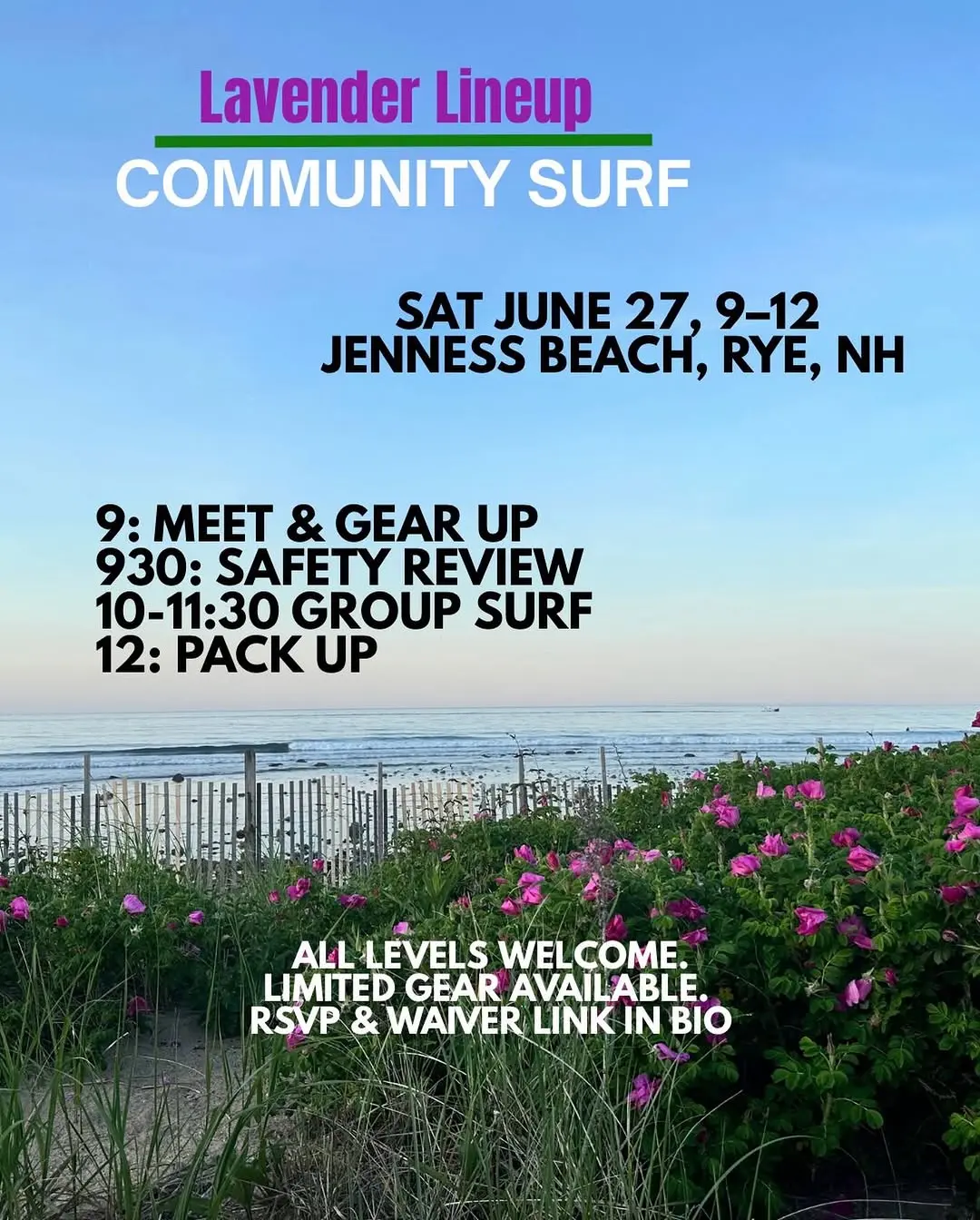 Lavender Lineup Community Surf
