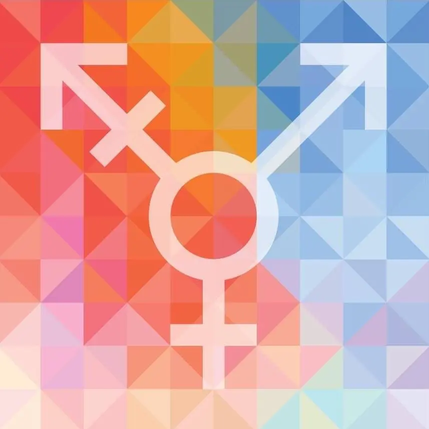 Trans Community New England